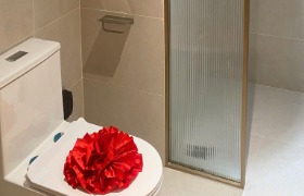 Anh can ho mau the fibonan 8